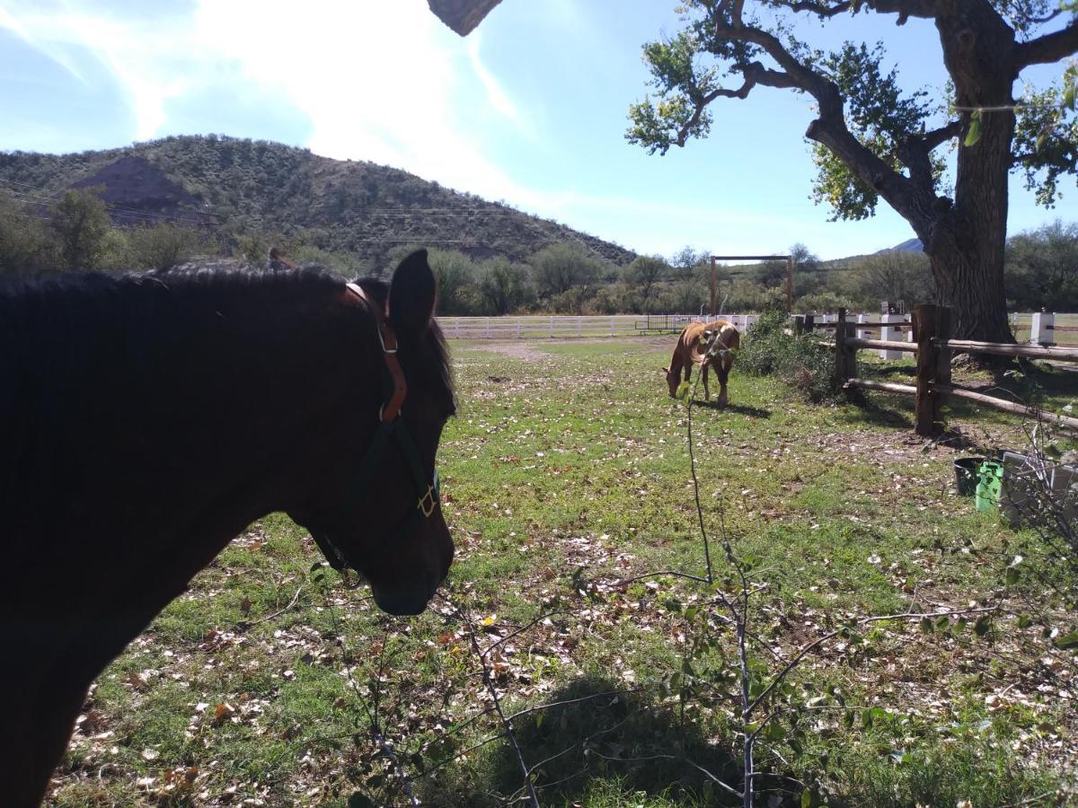Bed and Breakfast Rancho Santa Cruz Tubac Экстерьер фото